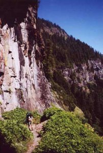 cliff-trail